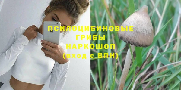 2c-b Белокуриха