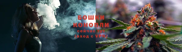 2c-b Белокуриха