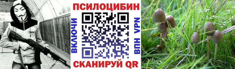 KRAKEN   Надым  Псилоцибиновые грибы ЛСД 